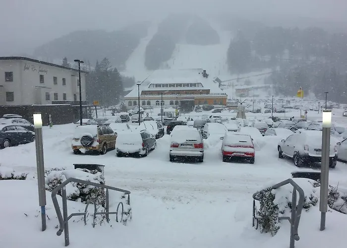 Guest house Pension Central Semmering